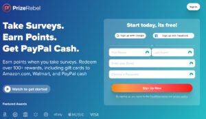 PrizeRebel Surveys